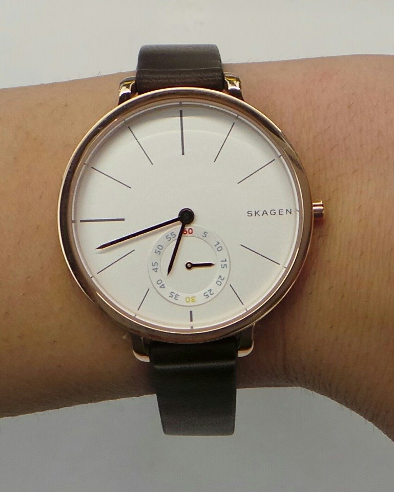 Skagen skw2356 discount